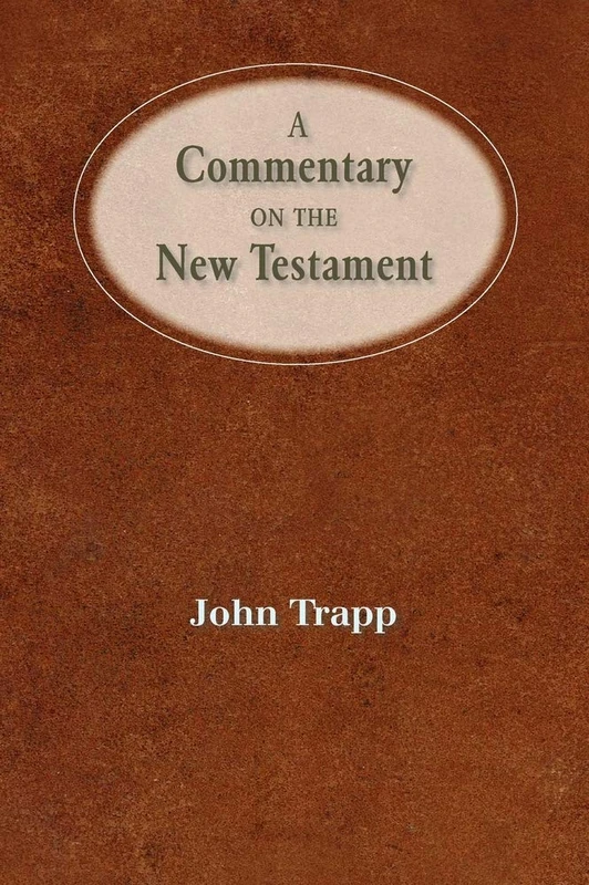 A Commentary of the New Testament - Image 1