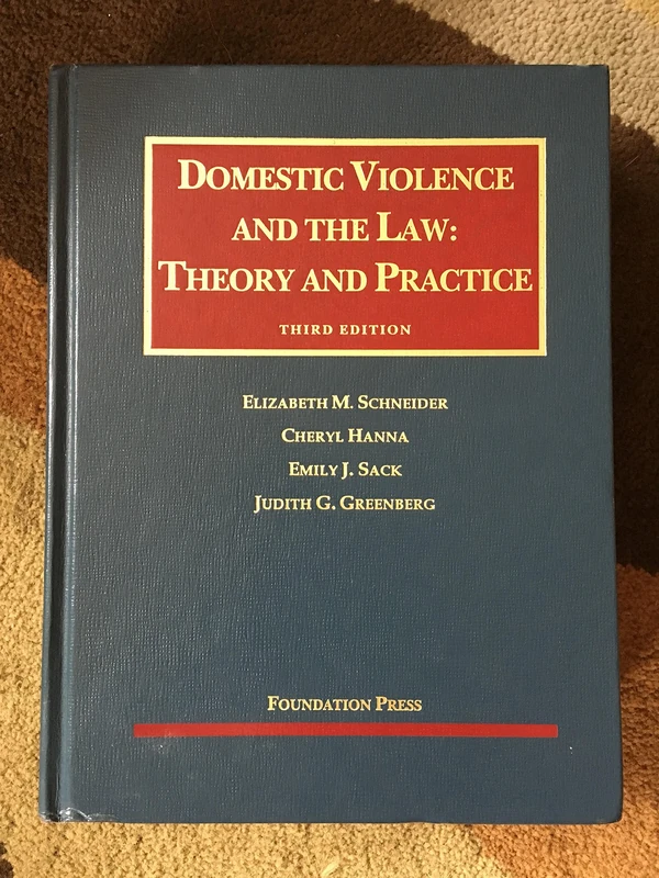 Domestic Violence and the Law (University Casebook Series)