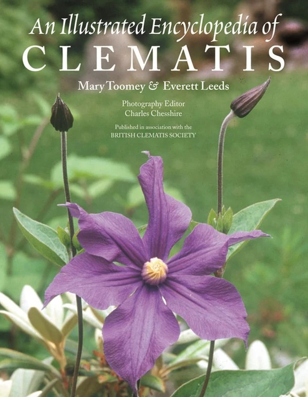 An Illustrated Encyclopedia of Clematis - Image 1