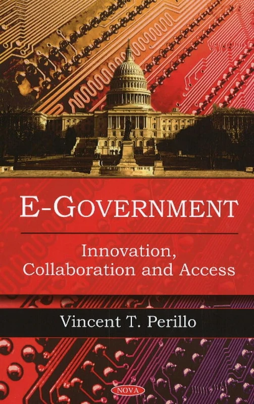 E-Government: Innovation, Collaboration and Access - Image 1