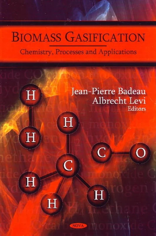 Biomass Gasification: Chemistry, Processes and Applications (Renewable Energy: Research, Development and Policies Series): Chemistry, Processes & Applications