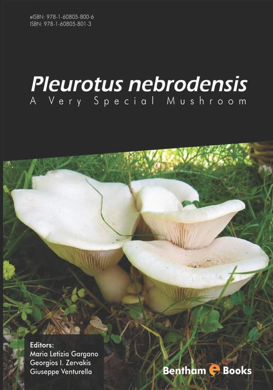Pleurotus Nebrodensis: A Very Special Mushroom - Image 1
