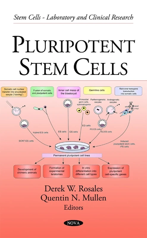 Pluripotent Stem Cells (Stem Cells - Laboratory and Clinical Research)