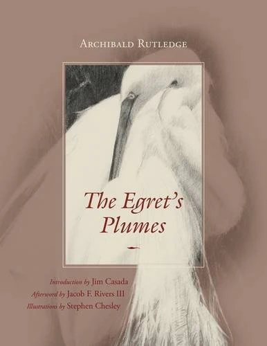 The Egret's Plumes - Image 1