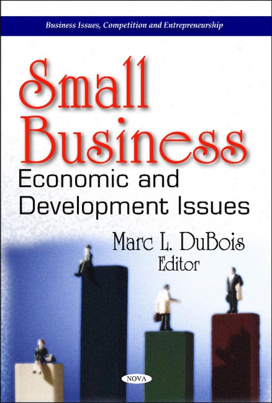 Small Business: Economic & Development Issues (Business Issues, Competition & Entrepreneurship Series)