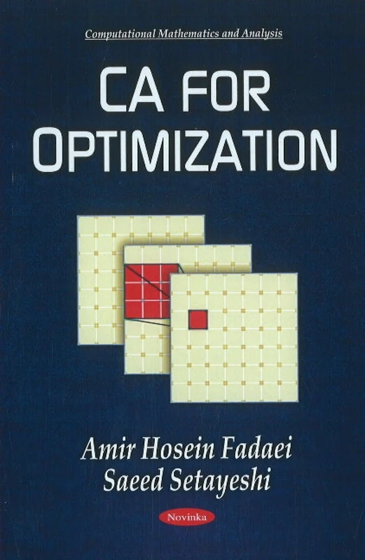 CA for Optimization (Computational Mathematics and Analysis)