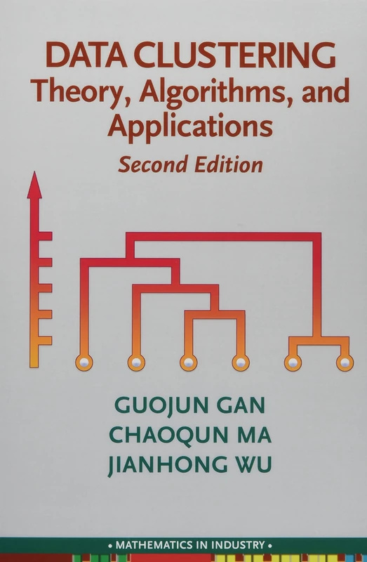 Data Clustering: Theory, Algorithms, and Applications (Mathematics in Industry)