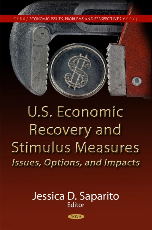 U.S. Economic Recovery & Stimulus Measures: Issues, Options, & Impacts (Economic Issues, Problems and Perspectives)