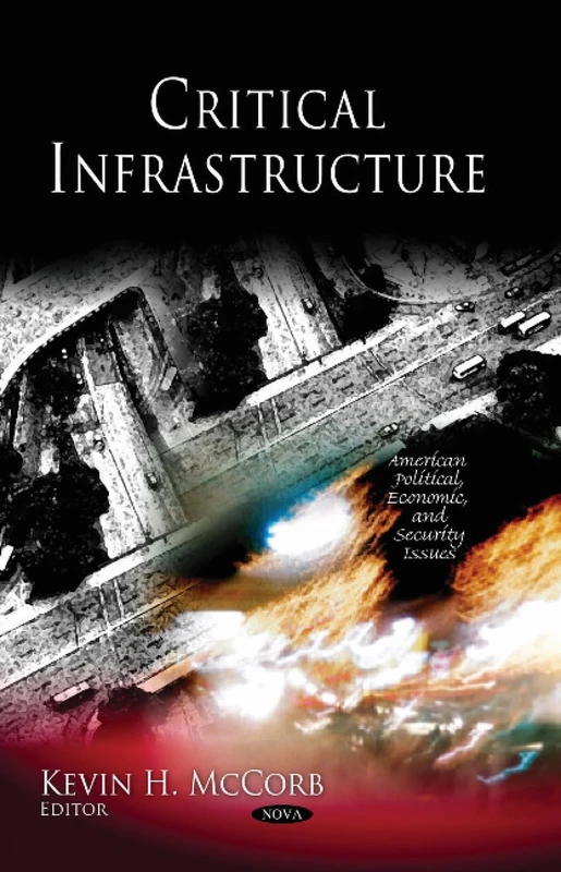 Critical Infrastructure (American Political Economic &) (American Political, Economic, and Security Issues)