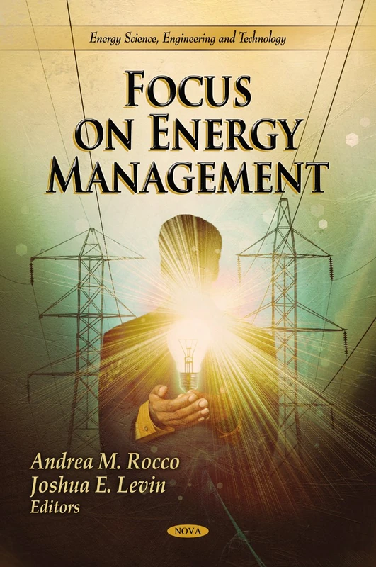 Focus on Energy Management (Energy Science, Engineering & Technology Series) - Image 1