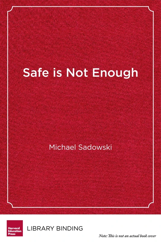 Safe Is Not Enough: Better Schools for LGBTQ Students (Youth Development and Education Series) - Image 1