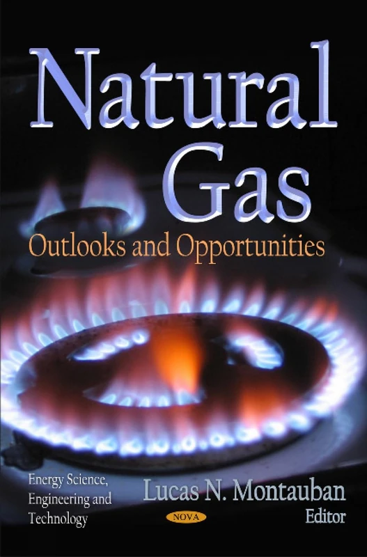 Natural Gas: Outlooks & Opportunities (Energy Science, Engineering and Technology)
