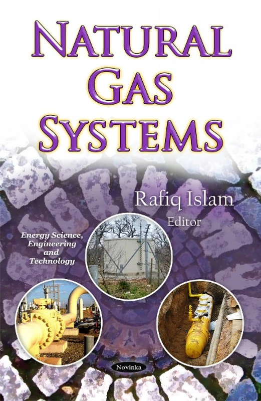 Natural Gas Systems (Energy Science, Engineering and Technology) - Image 1