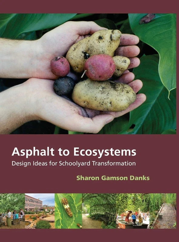 Asphalt to Ecosystems: Design Ideas for Schoolyard Transformation - Image 1