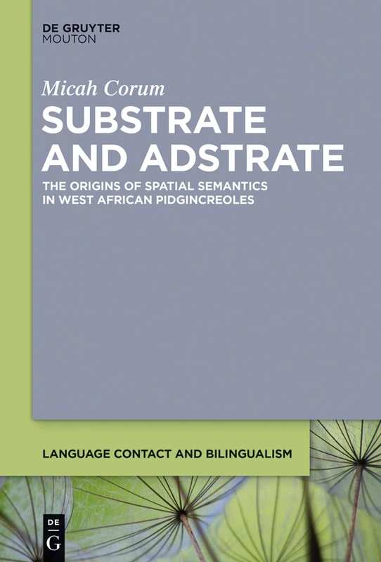 Substrate and Adstrate: The Origins of Spatial Semantics in West African Pidgincreoles: 10 (Language Contact and Bilingualism [LCB], 10)