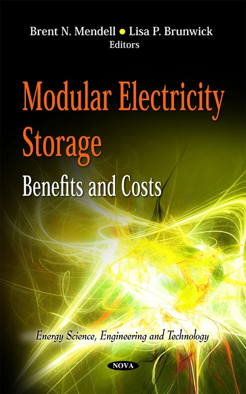 Modular Electricity Storage: Benefits & Costs (Energy Science, Engineering and Technology)