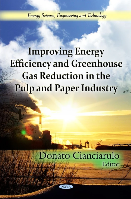 Improving Energy Efficiency in Pulp and Paper Industry Book