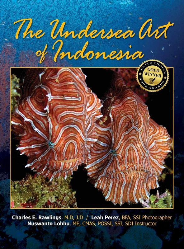 The Undersea Art of Indonesia - Image 1