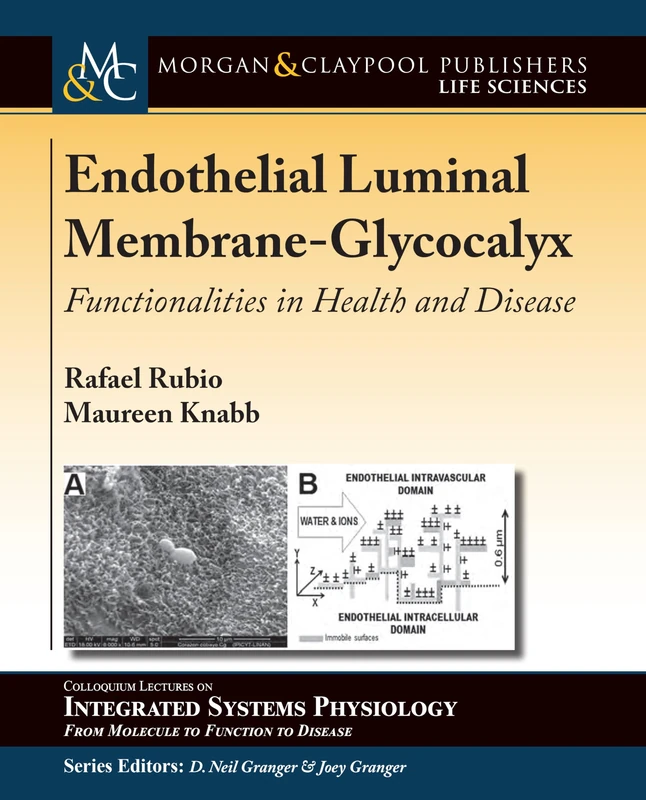 Endothelial Luminal Membrane-Glycocalyx: Functionalities in Health and Disease (Colloquium Series on Integrated Systems Physiology: From Molecule to Function to Disease)
