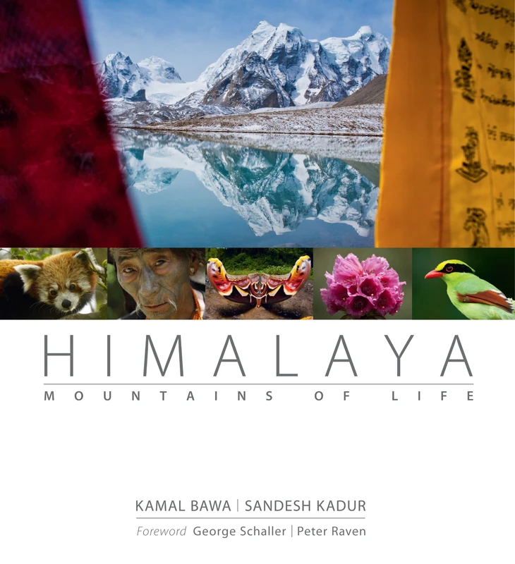 Himalaya: Mountains of Life