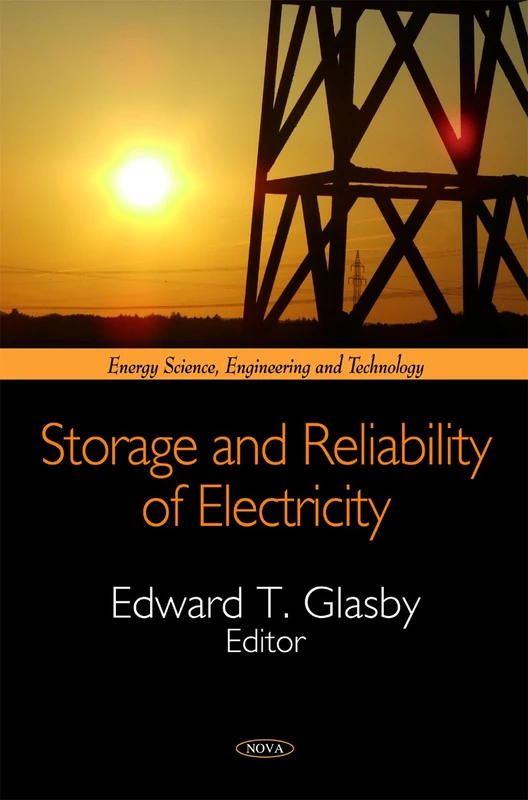 Storage & Reliability of Electricity (Energy Science, Engineering & Technology Series)