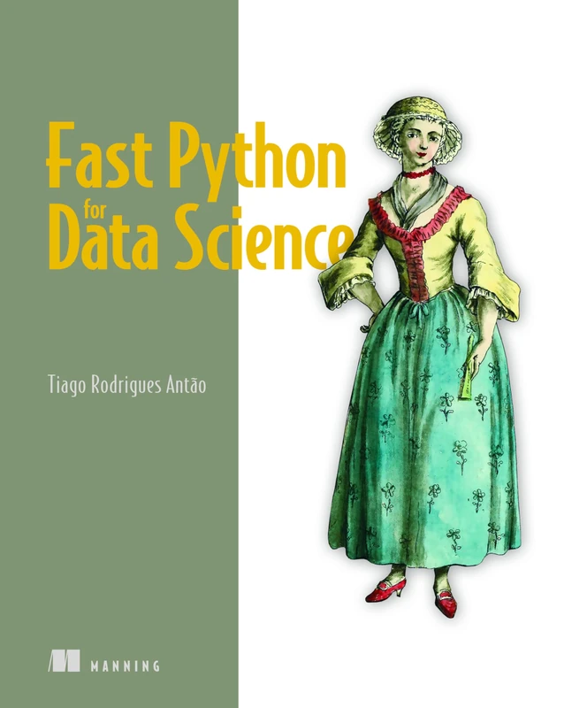 Fast Python for Data Science: High Performance Techniques for Large Datasets