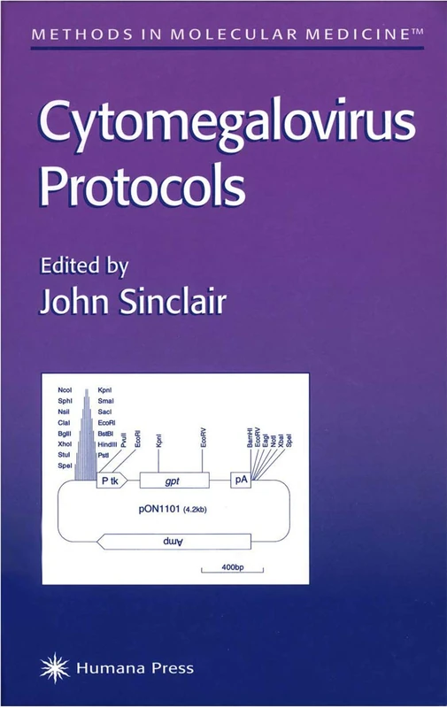 Cytomegalovirus Protocols: 33 (Methods in Molecular Medicine, 33)
