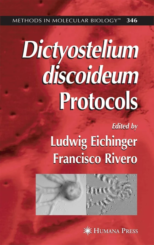 Dictyostelium discoideum Protocols: 346 (Methods in Molecular Biology, 346)