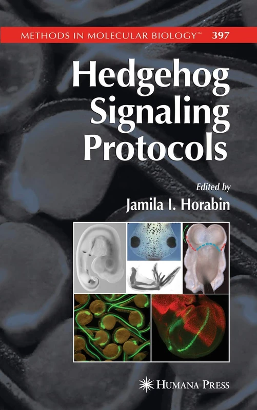Hedgehog Signaling Protocols: 397 (Methods in Molecular Biology, 397)