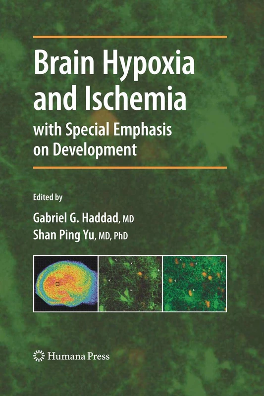 Brain Hypoxia and Ischemia (Contemporary Clinical Neuroscience)