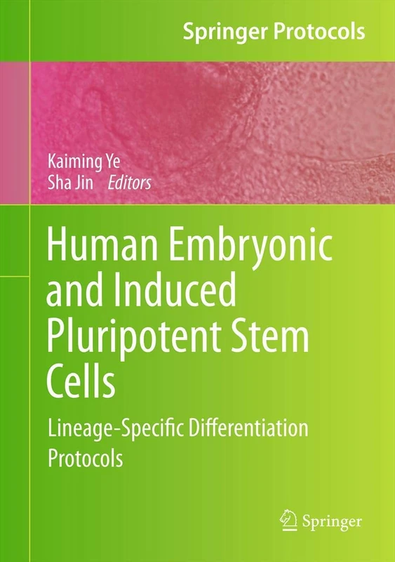 Human Embryonic and Induced Pluripotent Stem Cells: Lineage-Specific Differentiation Protocols (Springer Protocols Handbooks)