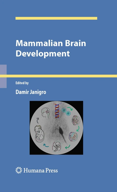 Mammalian Brain Development (Contemporary Neuroscience) - Image 1