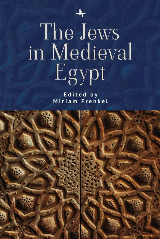 The Jews in Medieval Egypt (The Lands and Ages of the Jewish People Series)
