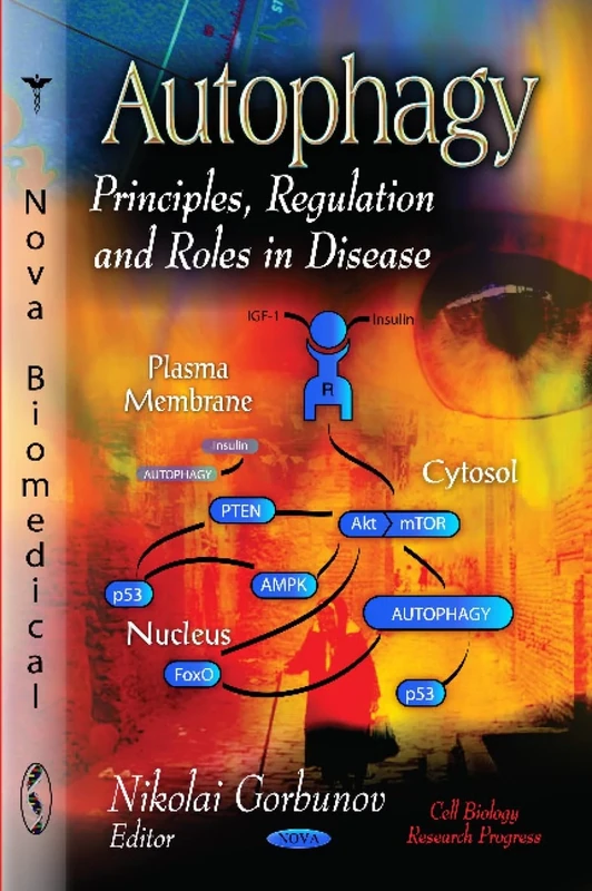 Autophagy: Principles, Regulation & Roles in Disease (Cell Biology Research Progress)