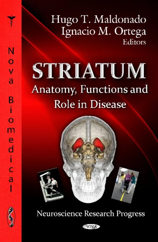 Striatum: Anatomy, Functions & Role in Disease (Neuroscience Research Progress: Cerebrovascular Research and Disorders)