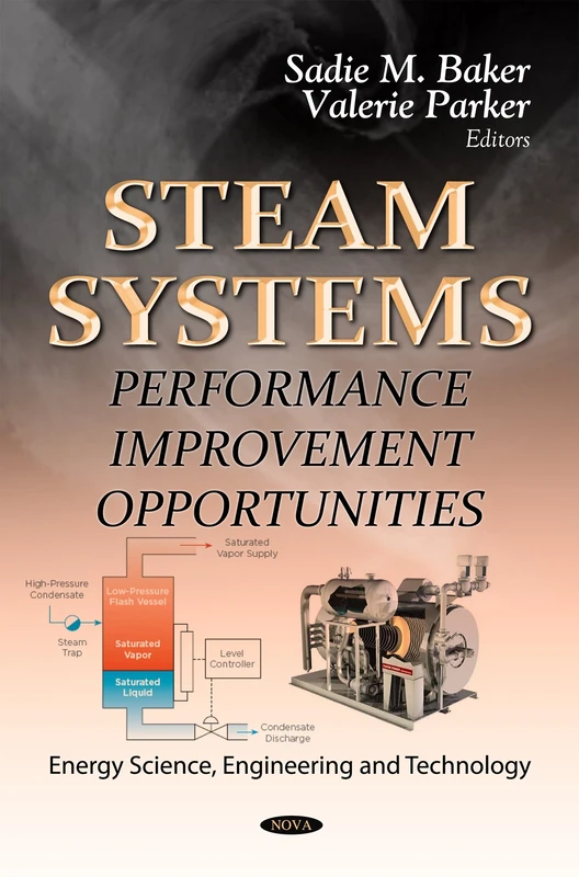 STEAM SYSTEMS: Performance Improvement Opportunities (Energy Science, Engineering and Technology: Energy Policies, Politics and Prices)