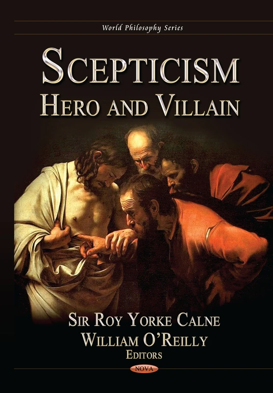 SCEPTICISM HERO VILLIAN (World Philosophy)