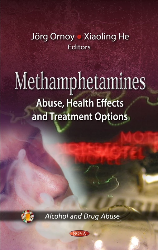 Methamphetamines: Abuse, Health Effects & Treatment Options (Alcohol & Drug Abuse Series)
