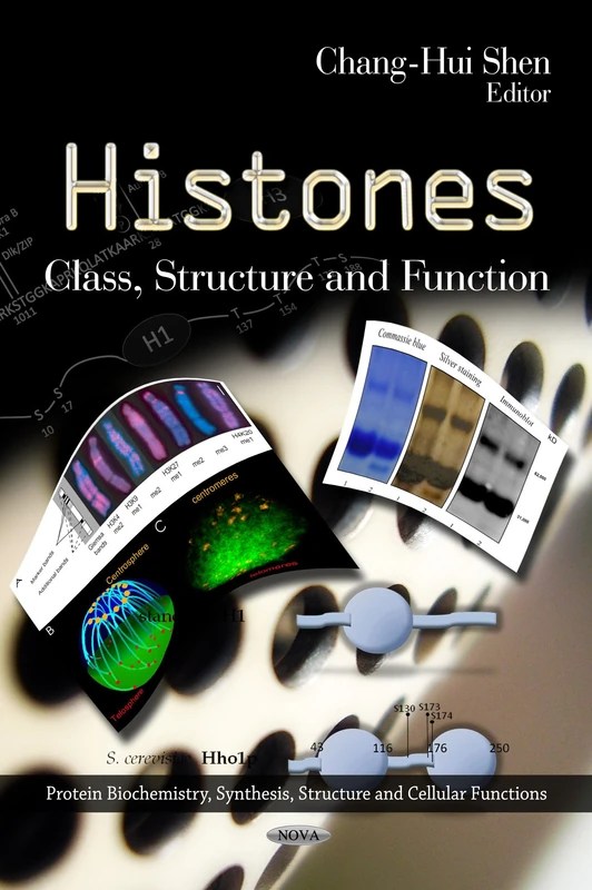 Histones: Class, Structure & Function (Protein Biochemistry, Synthesis, Structure and Cellular Functions) - Image 1