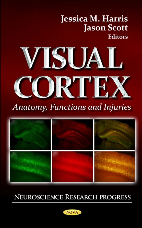 Visual Cortex: Anatomy, Functions & Injuries (Neuroscience Research Progress)