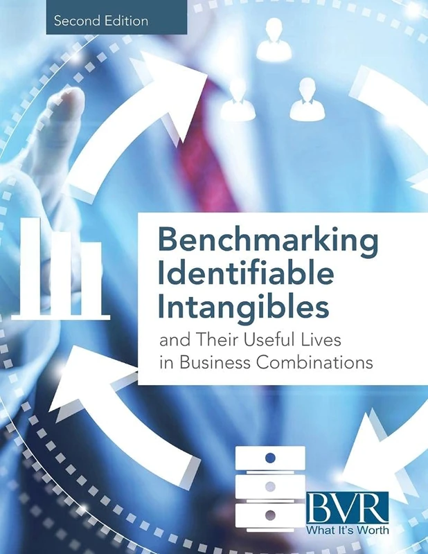 Benchmarking Identifiable Intangibles and Their Useful Lives in Business Combinations, Second Edition