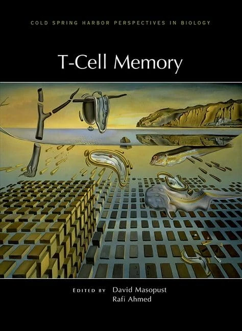 T-Cell Memory (Perspectives Cshl) - Image 1