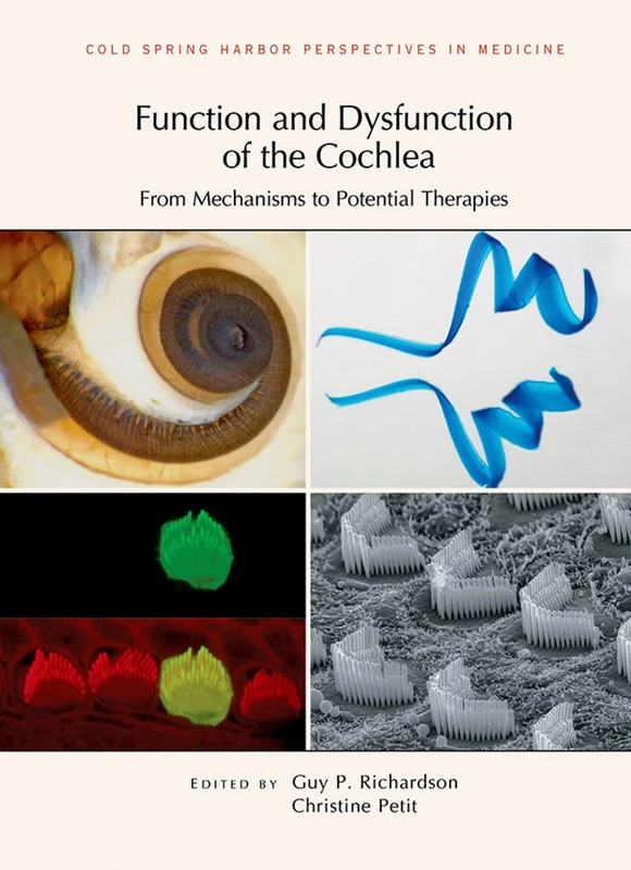 Function and Dysfunction of the Cochlea: From Mechanisms to Potential Therapies (Perspectives Cshl) - Image 1