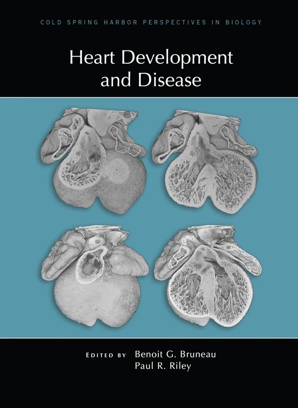 Heart Development and Disease (Perspectives Cshl)