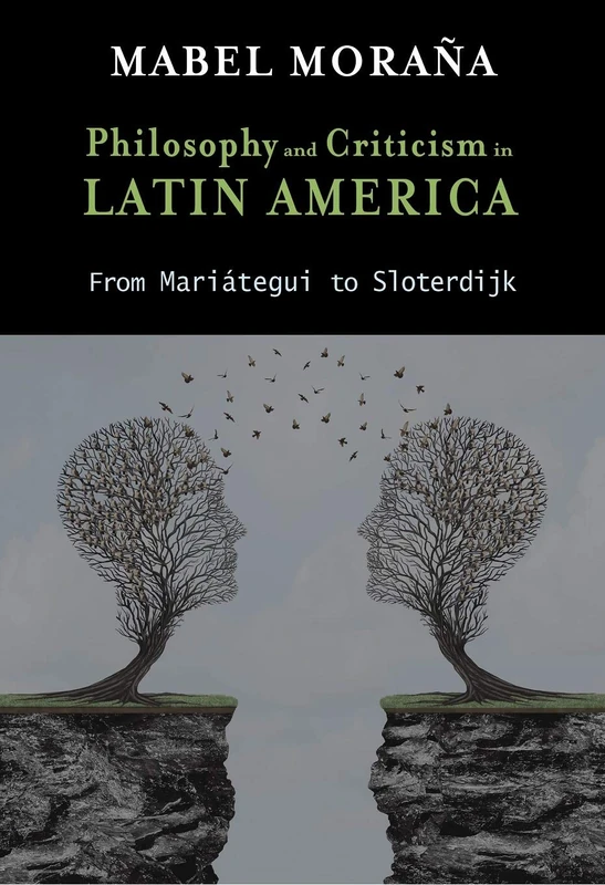 Philosophy and Criticism in Latin America: From Mariátegui to Sloterdijk (Cambria Latin American Literatures and Cultures Se)