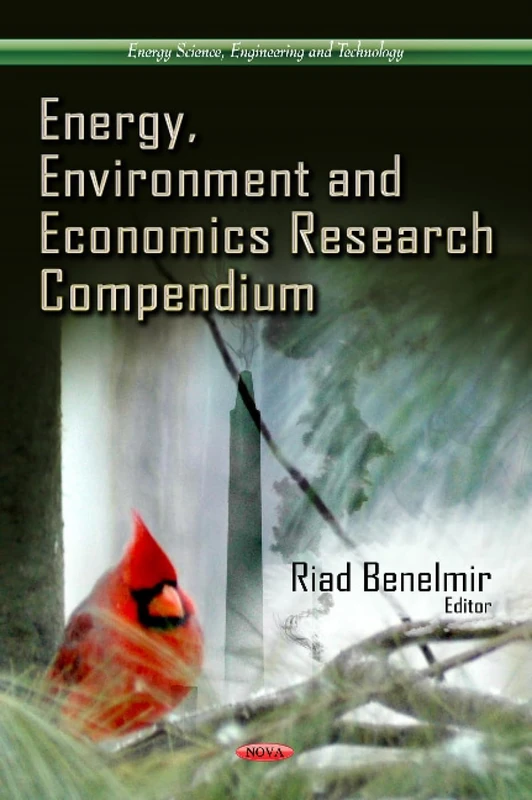 ENERGY ENVIRONMENT ECONOMICS (Energy Science, Engineering and Technology)