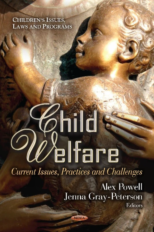 Child Welfare Current Issues, Practices & Challenges Book