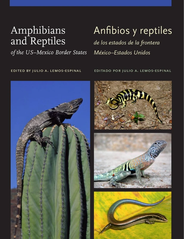 Amphibians and Reptiles of Theus-Mexico Border States/Anfibios y Reptiles de Los Estados de la Frontera Mexico-Estados Unidos (W.L. Moody Jr. Natural History Series): Volume 52