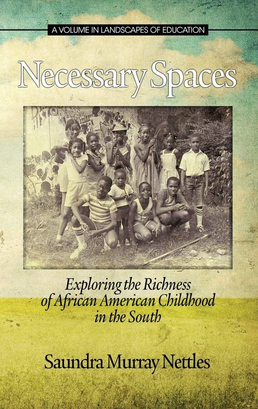 Necessary Spaces: Exploring the Richness of African American Childhood in the South (Landscapes of Education)