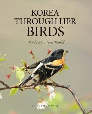 Korea Through Her Birds: Windows into a World